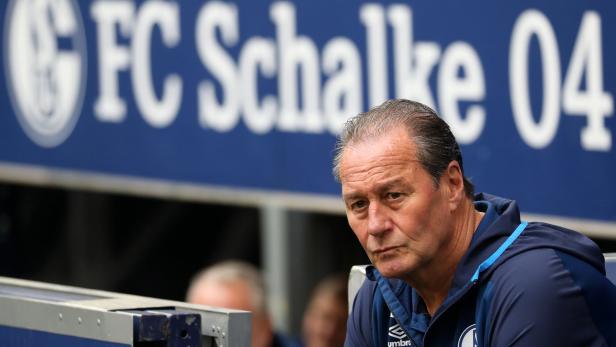 Chaos-Klub Schalke feuert Trainer - Huub Stevens übernimmt erneut