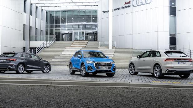 Von A3 über Q3 bis Q8: Die neuen Audis für die Steckdose