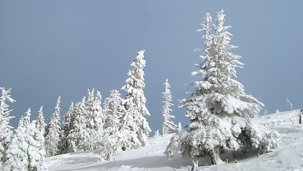 Skitouren in den Wiener Hausbergen