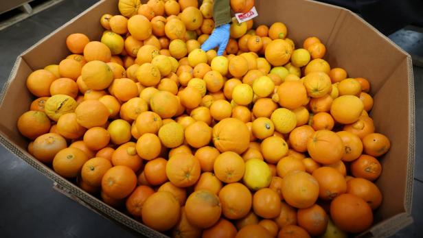 Wenn die Früchte übereinanderliegen, können Druckstellen entstehen. Und dort werden die Orangen anfällig für Schimmel.