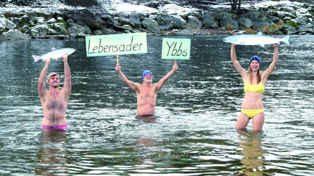 Badestart im Dienste der Natur: Pro Ybbs-Obmann Gerald Mevec (Mitte) mit zwei verwegenen Mitstreitern