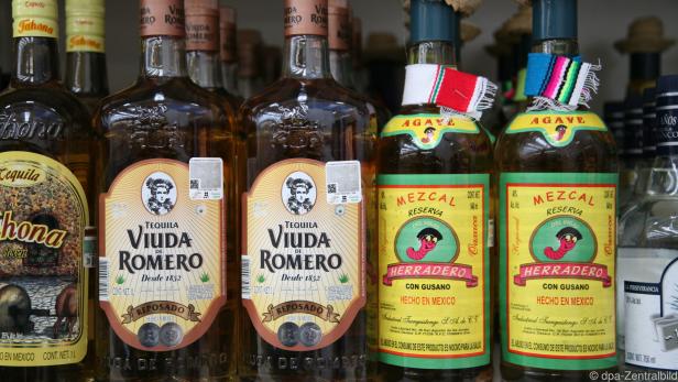 Zum Brennen von Tequila und Mezcal werden 40 verschiedene Agavenarten benutzt