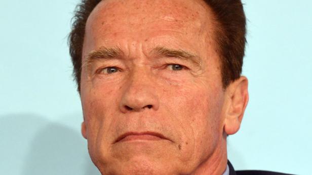 Schwarzenegger zieht Vergleich zur Nazi-"Kristallnacht"