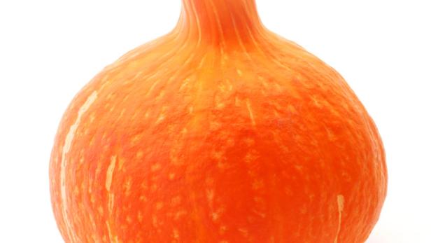 Ein orangefarbener Hokkaido-Kürbis auf einem weißen Hintergrund.