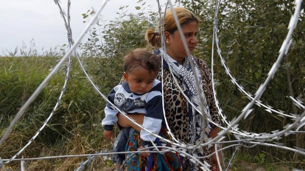 Syrische Flüchtlinge am Grenzzaun zwischen Ungarn und Serbien