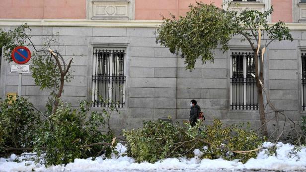 Madrid will nach Jahrhundertschnee 80.000 Bäume fällen