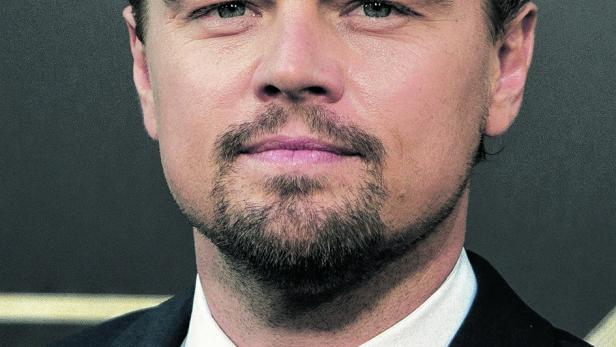 Leonardo DiCaprio setzt sich mit seiner Stiftung für den Artenschutz ein. Um Geld dafür aufzustellen, fand am 13. Mai bei Christie's New York eine Auktion zeitgenössischer Kunst statt.