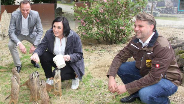 Stadtchef Michlmayr (r.) mit Ministerin Köstinger und Landesrat Danninger beim Tierparkbesuch im Vorjahr
