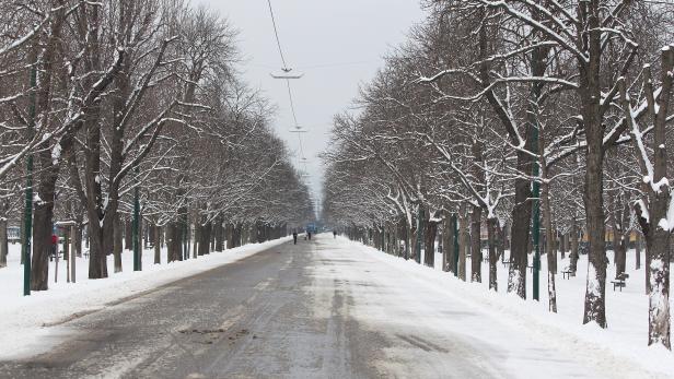 Wien: die schönsten Laufstrecken für den Winter