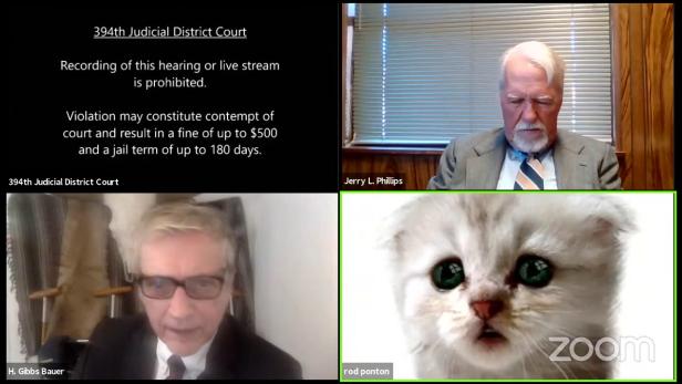 Anwalt wird mit Katzenfilter zum Internet-Hit