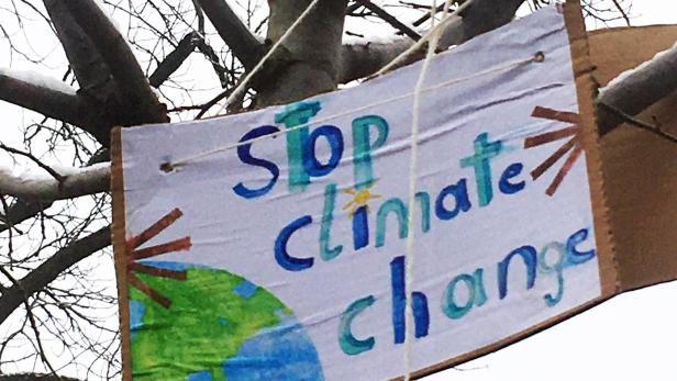 Schüler, Eltern und 100 Bäume demonstrieren für mehr Klimaschutz