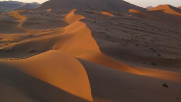 Die goldenen Sanddünen der Namib-Wüste im warmen Licht der Abenddämmerung.