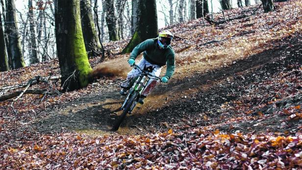 Die Mountainbiker fordern eine uneingeschränkten Benützung aller Forstwegen im Wald
