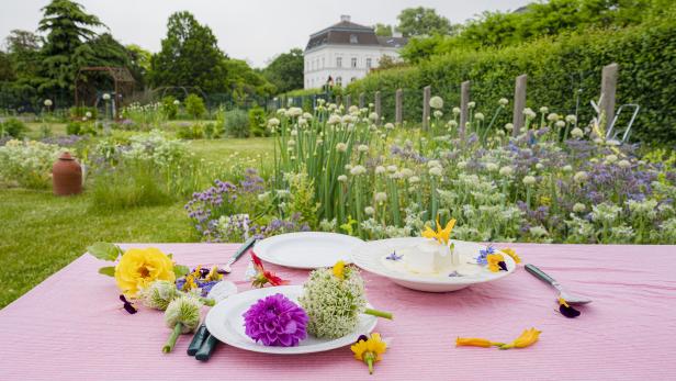 Kochen mit Blüten in der City Farm Augarten