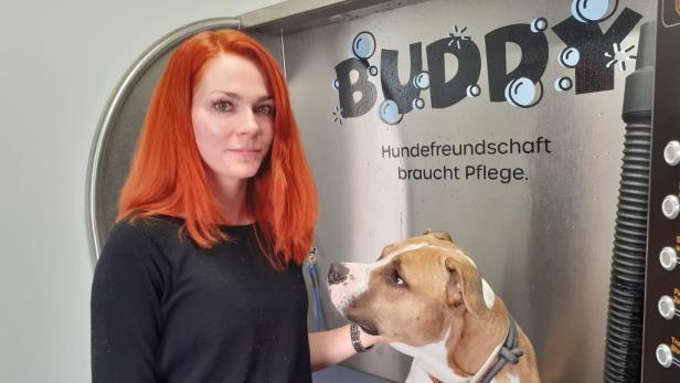 Schaumparty für Hunde: Waschanlage startet in St. Pölten