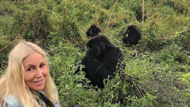 Selfie-gierige Touristen könnten Covid-19 an Berggorillas übertragen