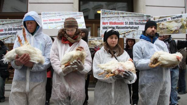 Protest ohne Störaktionen und Attacken: Verein gegen Tierfabriken demonstrierte gegen Stall für Zigtausende Hühner in der Steiermark