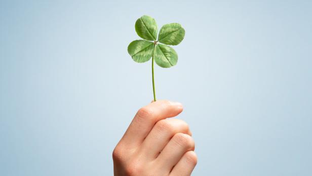 Lucky four leaves clover