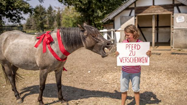 Pferd und Bub mit Plakat auf dem steht: "Pferd zu verschenken"