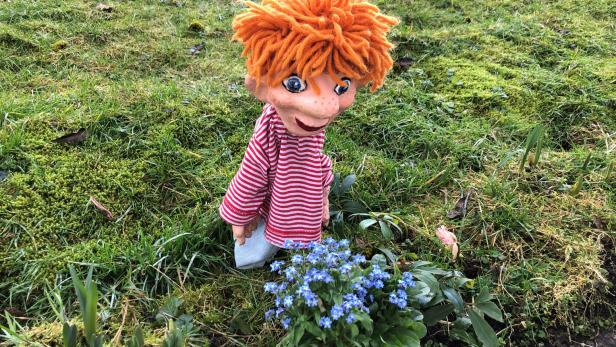 Seppy bewundert die zarten, blauen Blumen