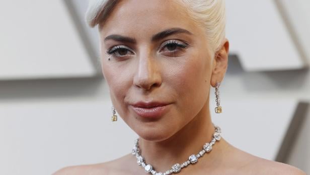 Hundedrama: Happy End für Lady Gaga - Täter noch auf freiem Fuß