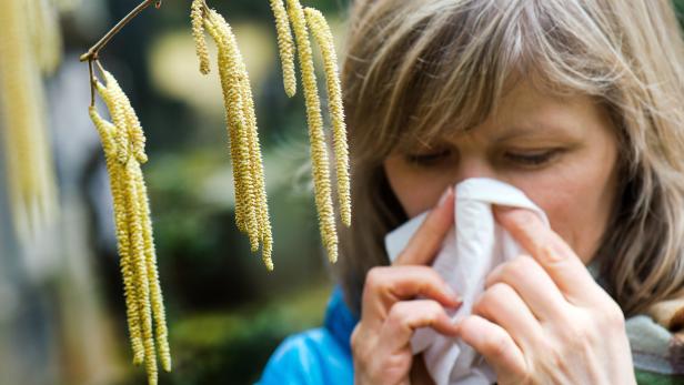 Erhöhtes Corona-Risiko für Allergiker?