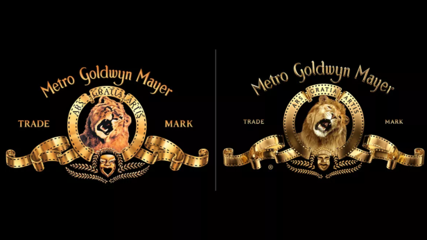 Echter Löwe im MGM-Logo hat ausgebrüllt