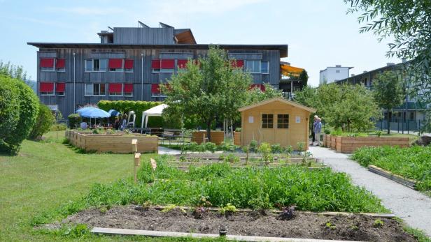In Salzburg werden laufend Gemeinschaftsgärten eröffnet.