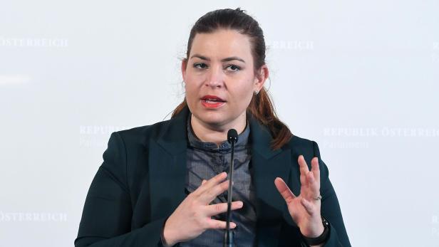 Causa Schmid: Jetzt streiten Türkis und Grün über Jobvergaben
