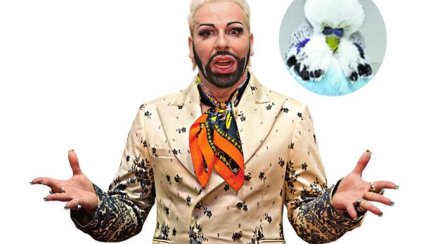Ein Mann in einem gemusterten Anzug posiert neben dem Bild eines Wellensittichs.