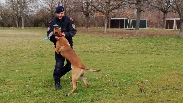 Die Polizeihunde haben in Wien-Floridsdorf ein neues Zuhause