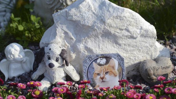 Am Tierfriedhof in Wien können verstorbene Vierbeiner in Urnen oder Erdgräbern bestattet werden.