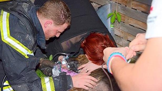 Ein Feuerwehrmann und eine Frau leisten einem Hund mit einer Sauerstoffmaske Erste Hilfe.