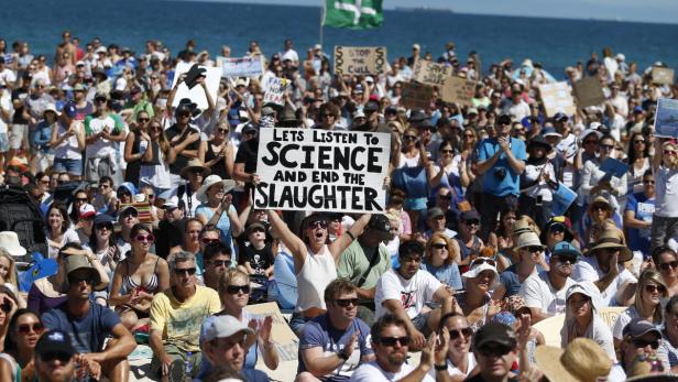 Eine Menschenmenge demonstriert am Strand gegen das Töten von Haien.
