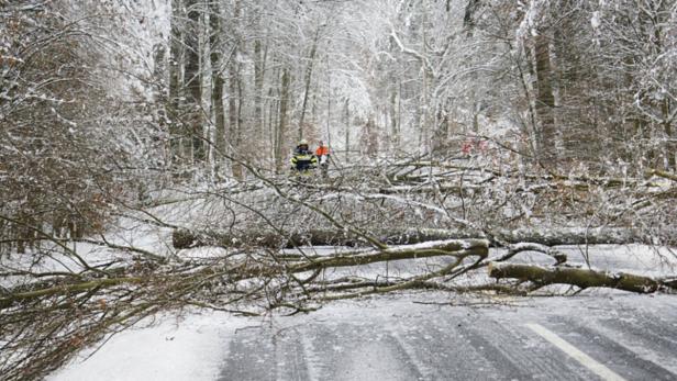 Ein umgestürzter Baum blockiert eine schneebedeckte Straße; Feuerwehrleute sind im Einsatz.