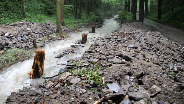 Unwetter Spitz - Aufräumarbeiten