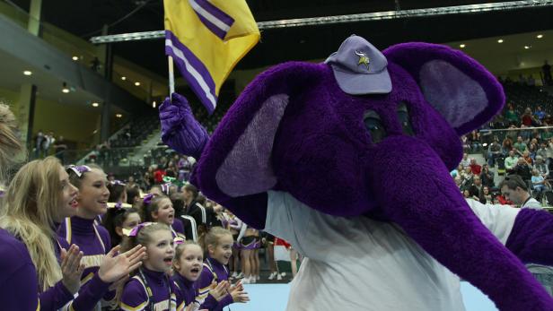 Ein lila Elefanten-Maskottchen mit Cheerleadern und einer gelb-lila Flagge bei einer Sportveranstaltung.