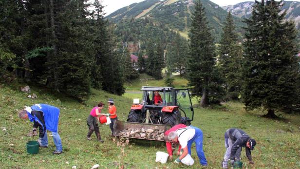 &quot;Steinreiche&quot; Göstlinger: Dutzende Freiwillige halfen mit die Pisten vom Gestein zu reinigen