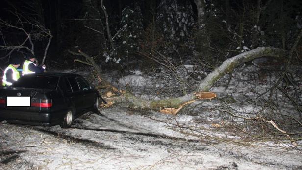 Ein umgestürzter Baum liegt auf einem Auto, während zwei Personen in Warnwesten daneben stehen.