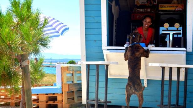 Luxusstrand mit Bar für Hunde in Crikvenica eröffnet.
