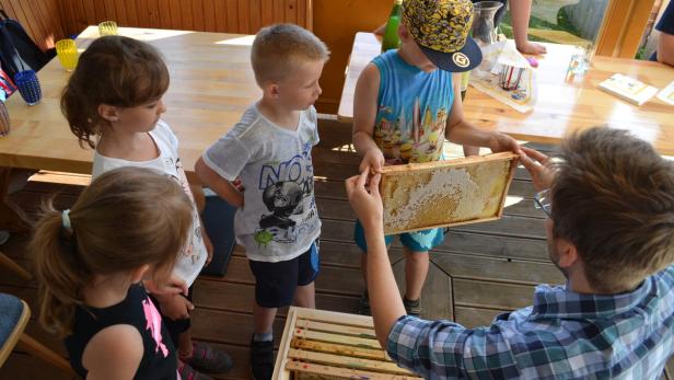 Die Imker erklären den Kindern, wie der Honig produziert wird