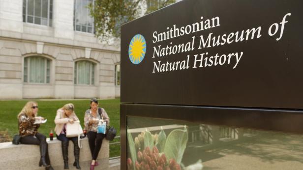 Drei Frauen sitzen vor dem Smithsonian National Museum of Natural History und essen.