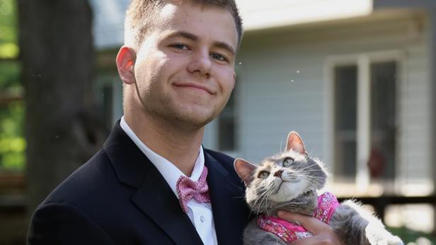 Prom Fotos mit Katze verzücken das Internet