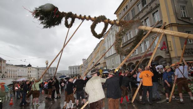 nach Maibaumdiebstahl, Baum zurück in Linz, OÖ