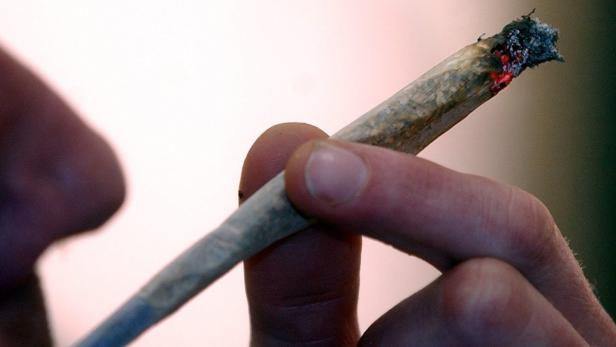 MESSE, HANF, CANNABIS, RAUCHEN, JOINT, KIFFEN