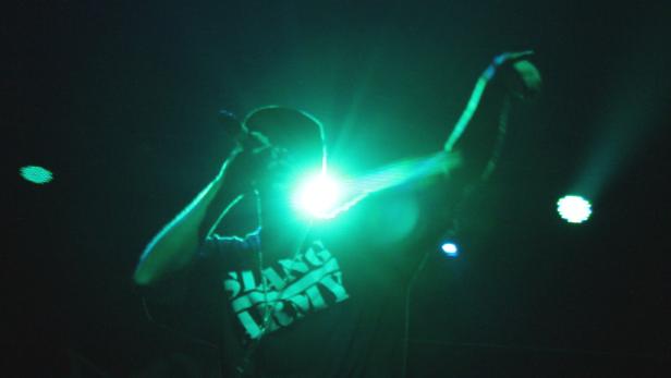 Die Vamummtn und ihr "Festl gestan"