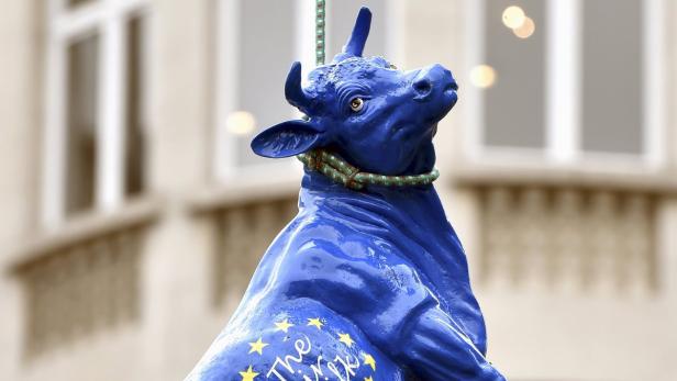 Landwirte demonstrieren in Brüssel mit einer aufgehängten Kuh.