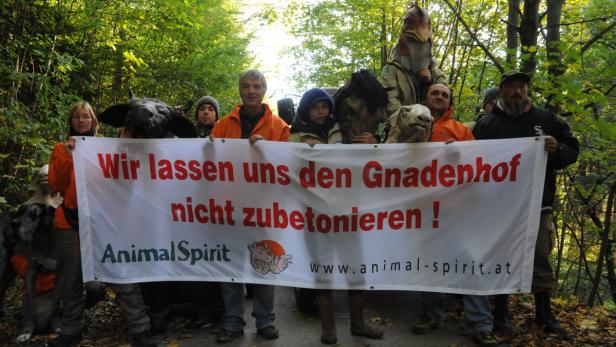 BILD zu OTS - ANIMAL SPIRIT-Blockadeaktion vor Gnadenhof Hendlberg, Laaben