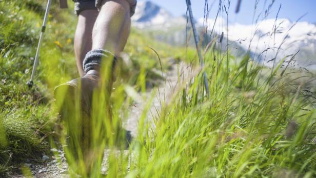 Die elf schönsten Themenwanderungen in Österreich