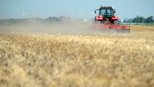 Ein roter Traktor bearbeitet ein Feld mit reifem Getreide, im Hintergrund Windräder.